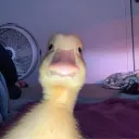 titantnt8