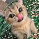 freakyfawi