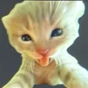 amd2_ avatar