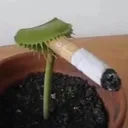 someguy4tyuiop