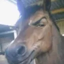 someguy4tyuiop