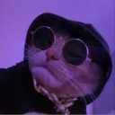 tiger_lol