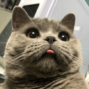 vioel