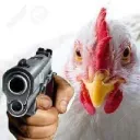coolchickenz3215 avatar