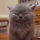 Аватар vlad0804500000