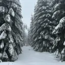 entity_3039151