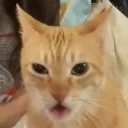 xaniaxn0 avatar