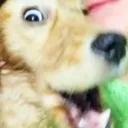 Аватар vladosik098