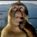 not_rookyimpostor member profile picture