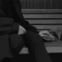 1_g.