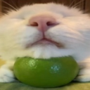 treatmelikerp