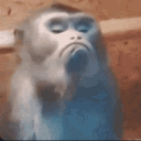 avatar Grutte (away from Discor'd)