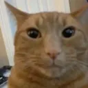 trollface247 avatar