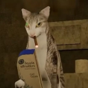 avatar ꉓꌩꀤꈤꀤꊼꍏꈤ