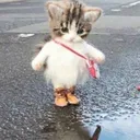 ilovekitkatsm
