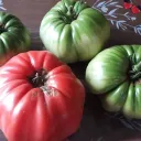 quadrazeta