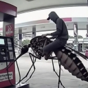 avatar ℭ𝔬𝔤𝔫𝔬𝔰𝔠𝔢𝔫𝔱𝔦