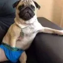 Аватар fantik_uwu.