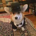 dezzowner