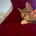 avatar !aurora777 🌹