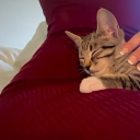 avatar !aurora777 🌹