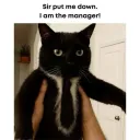 itscoopz