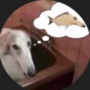 mylo9999
