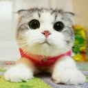 Аватар runmaks