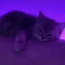 Аватар elkiaz1