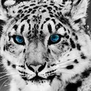easterngamer7339