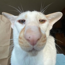 unladroqualunque#4959's avatar