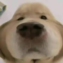 avatar เบิ้ม