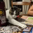 pattytq