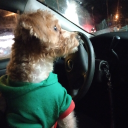 avatar not so epicgamer216