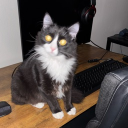 Discord Avatar