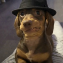 avatar SynonymsForSky