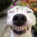 avatar 𝓔𝓭𝓲𝓽𝔃