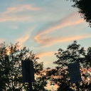 avatar Giggleshitter