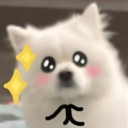 laomayixiao's Avatar