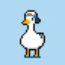 duckyiscoolok avatar