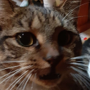 avatar WeIsAwesome_156