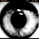 rdwtr avatar