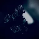dripping_julian