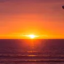 sunrise0376 avatar