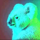 The Blue Panda avatar