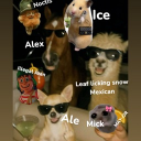 avatar Alex 🫶🏻