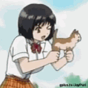 tooliofoolio