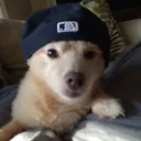 dexvfx.