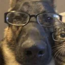 jebnotmc