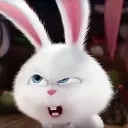 Аватар windizell.